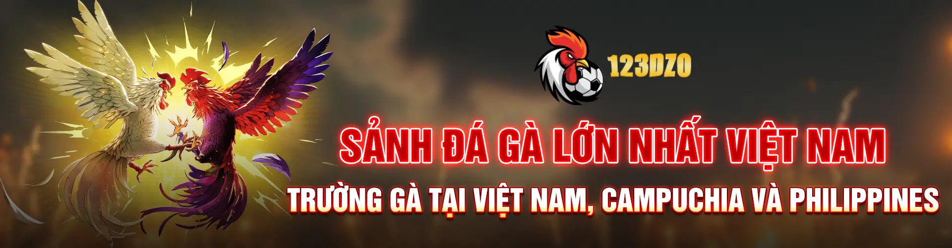 123DZO sảnh đá gà lớn nhất Việt Nam