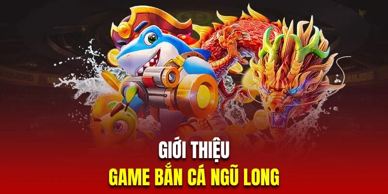 gioi-thieu-ban-ca-ngu-long