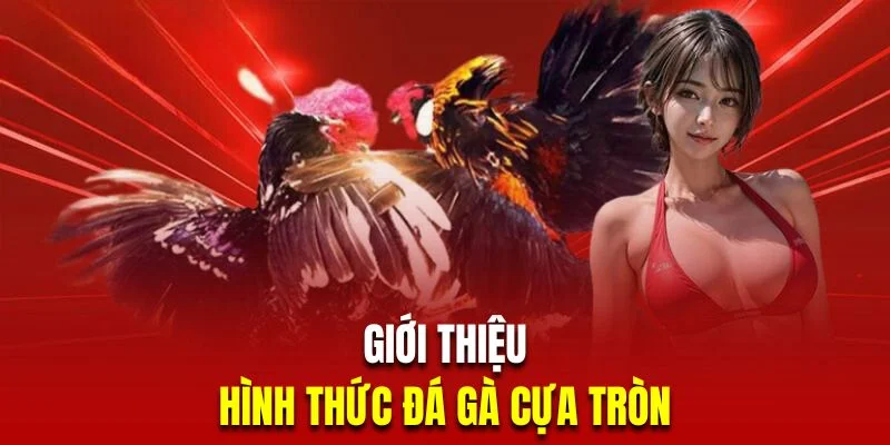 gioi-thieu-da-ga-cua-tron