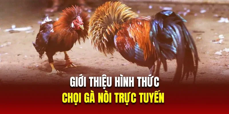 gioi-thieu-da-ga-noi