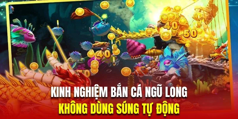 kinh-nghiem-ban-ca-ngu-long